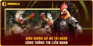 Mạng Gà Đá Tại 888B