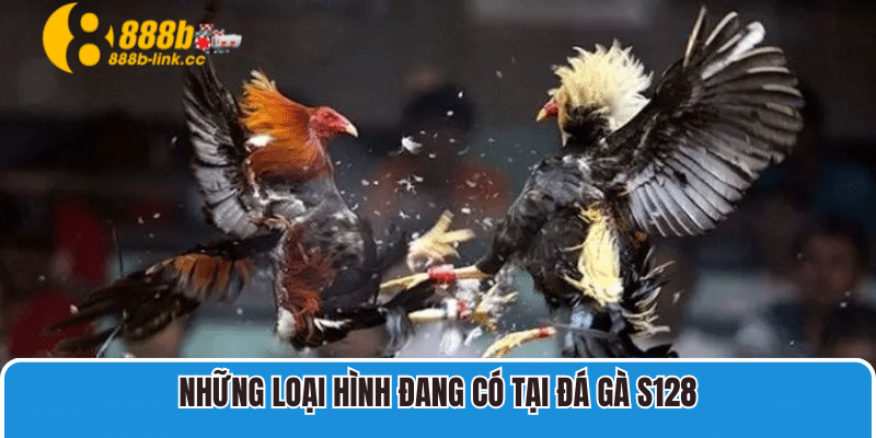 Những loại hình đang có tại Đá Gà S128