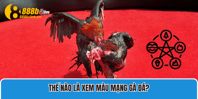 Thế nào là xem màu mạng gà đá?